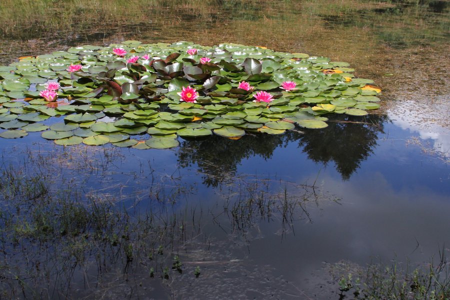 Domaine AbracadaRoom : La Ferme du Séquoia - Image 7