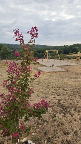 Domaine AbracadaRoom : Home Sweet Lodge Glamping Aquitaine proche Bergerac - Image 60