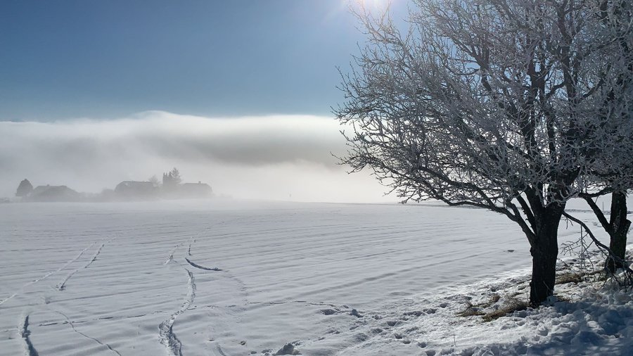 Domaine AbracadaRoom : Esprit du Nord - Image 31