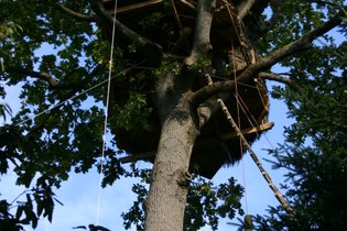 Cabane dans les arbres Ille-et-Vilaine