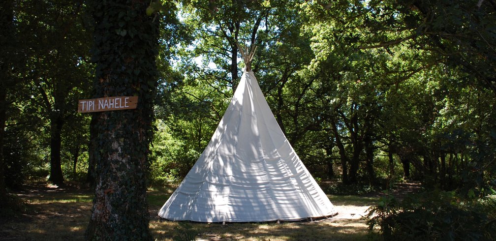Hébergement AbracadaRoom : Tipi Nahele - Image 4