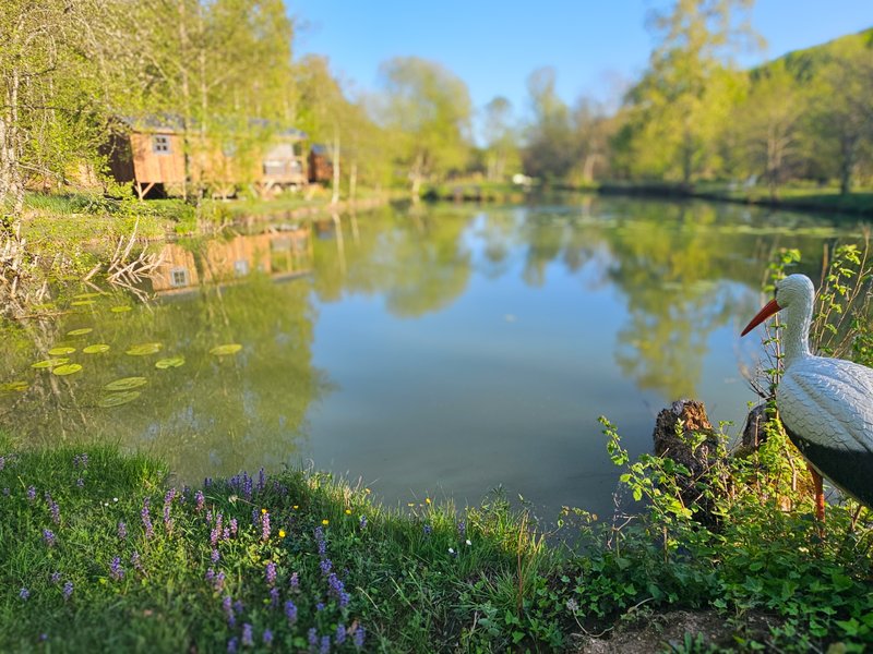 Hébergement AbracadaRoom : Lodge sur pilotis, étang privé, nature et biodiversité à Sarlat - Image 22