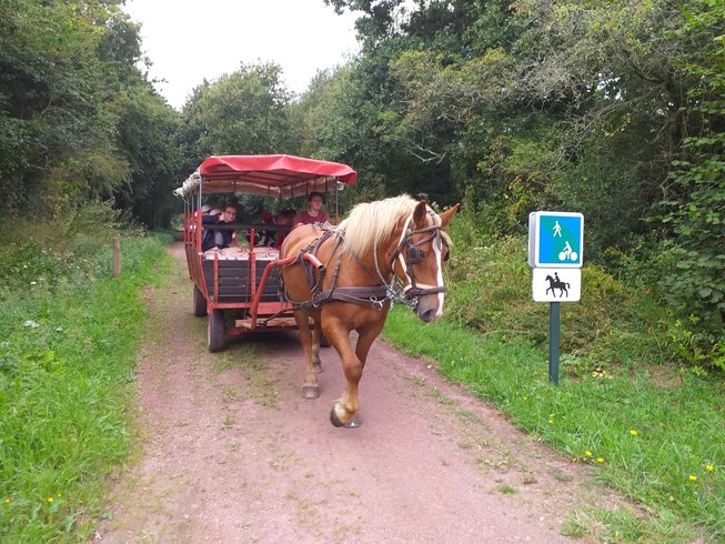 Domaine AbracadaRoom : Écurie Leseigneur - Image 24