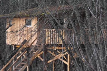 Cabane des Cerfs à Allons (4)