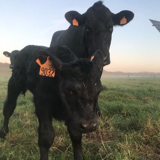 Domaine AbracadaRoom : Au Pré des Alizés - Image 5