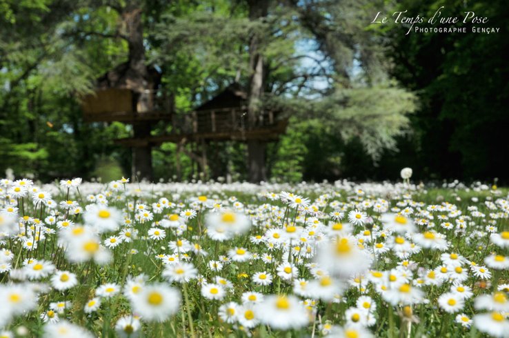 Domaine AbracadaRoom : Cabanes de la Belle - Image 15