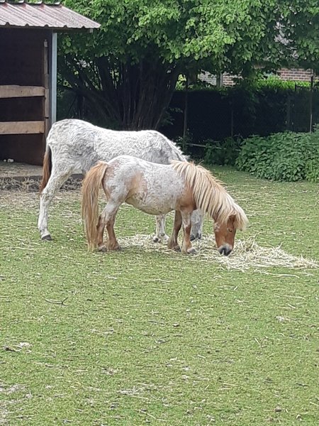 Domaine AbracadaRoom : La Verdine - Image 10