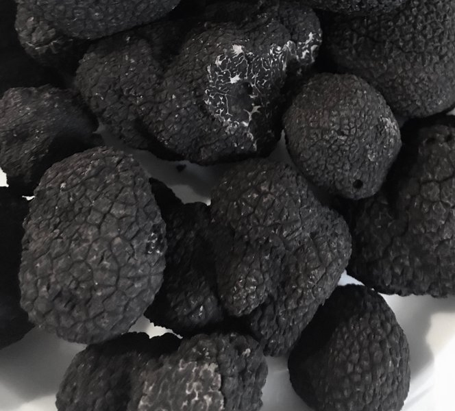 Domaine AbracadaRoom : La Ferme de la Truffe - Image 11