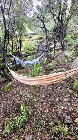 Domaine AbracadaRoom : A Dimora di Murza Liliekaena - Image 34