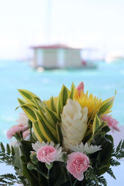 Hébergement AbracadaRoom : Aqua Lodge le Rêve flottant Les Saintes - Image 64