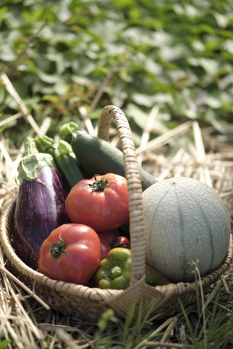 Domaine AbracadaRoom : Camping à la ferme Les Rangs d'Oignons - Image 7