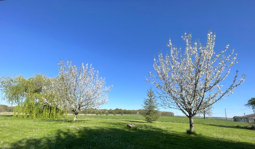 Domaine AbracadaRoom : Domaine des Anes - Image 11