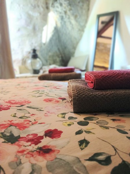 Domaine AbracadaRoom : Boa Vista, Mazet Provençal semi troglodyte - Image 15