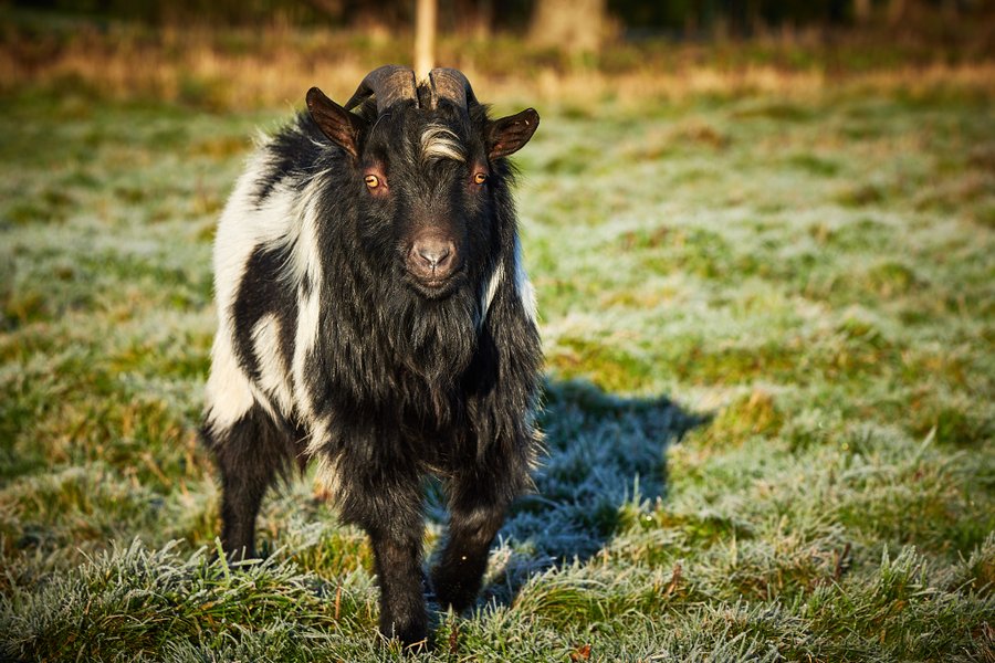 Hébergement AbracadaRoom : CARPE DIEM - Image 11