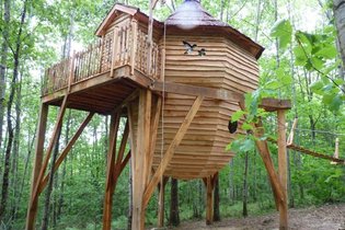 Cabane dans les arbres Pyrénées-Atlantiques