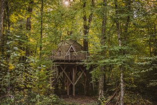Cabane dans les arbres Territoire de Belfort