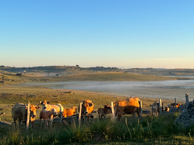 Domaine AbracadaRoom : Buron Cœur D'Aubrac - Image 5
