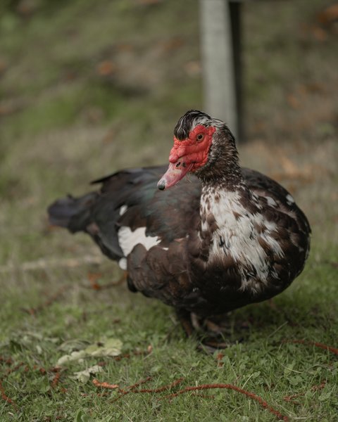 Domaine AbracadaRoom : Domaine Rêves étoilés - Image 12