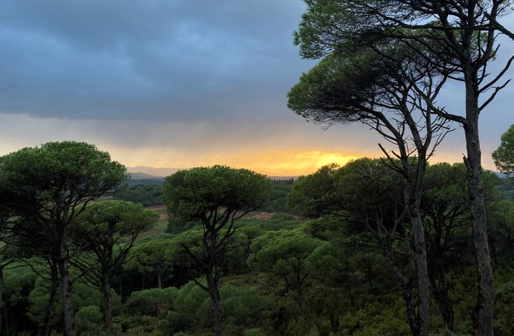 Domaine AbracadaRoom : Ushuaïa Village Figurotta - Image 11