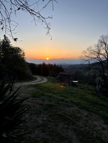 Domaine AbracadaRoom : Domaine Solio - Image 8