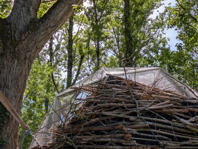 Hébergement AbracadaRoom : Bird House : Sphère Vitrée suspendue dans les Arbres - Image 3