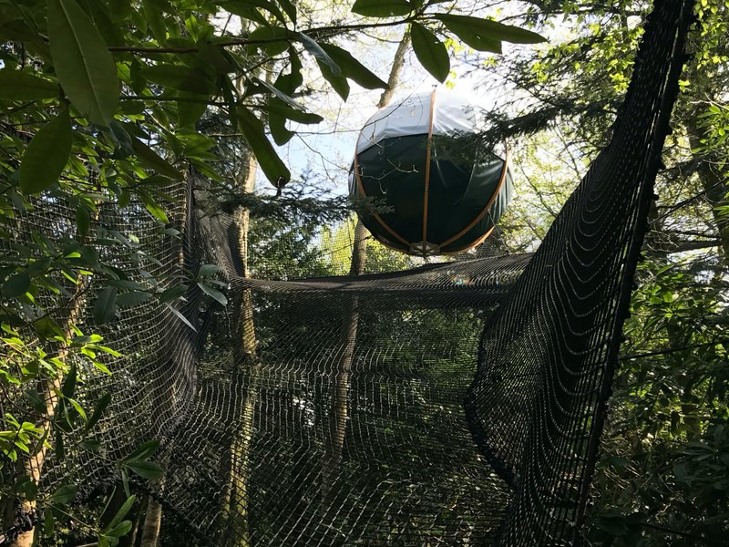 Hébergement AbracadaRoom : Bulle suspendue dans les arbres Mars - Image 3