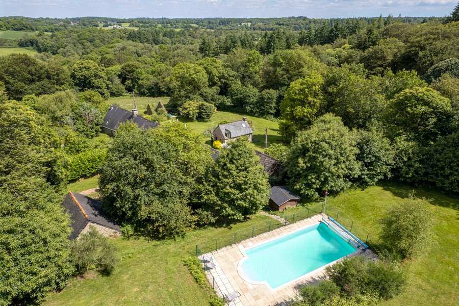 Domaine AbracadaRoom : FORET TOTEM - Image 4