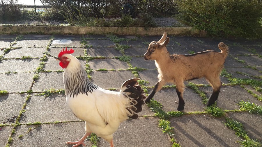 Domaine AbracadaRoom : Domaine du Vigneau - Image 3