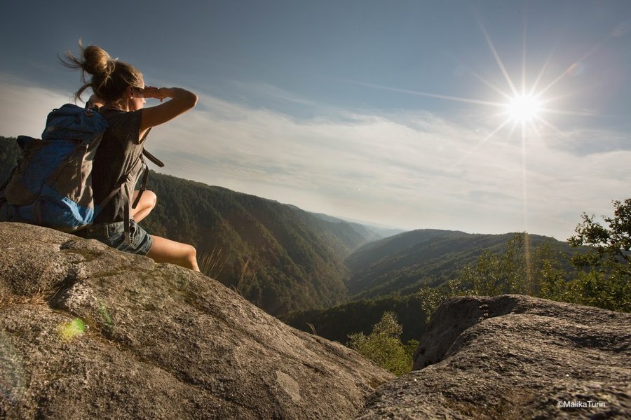 Domaine AbracadaRoom : Nature Camp Dordogne - Image 5