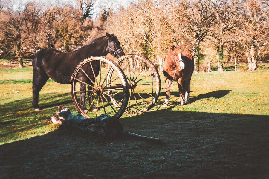 Domaine AbracadaRoom : Homnest (Charbonnieres) - Image 2