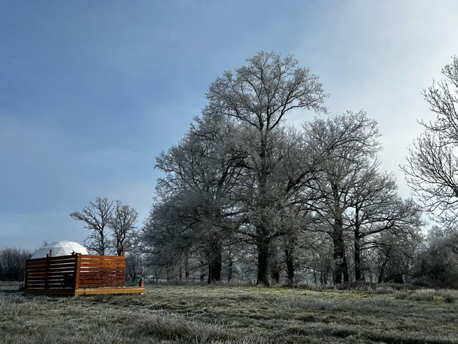 Domaine AbracadaRoom : Berry Dome - Image 15