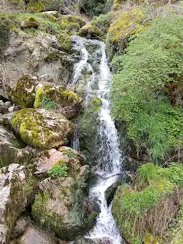 Domaine AbracadaRoom : Roulotte du Jura Vert - Image 12