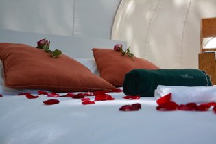 Cabanes de la Romaningue