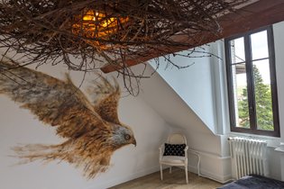 Chambre à thème Puy-de-Dôme