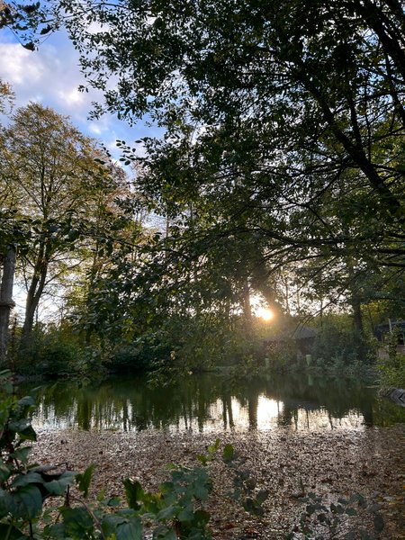 Domaine AbracadaRoom : Le domaine de Wail - Image 24