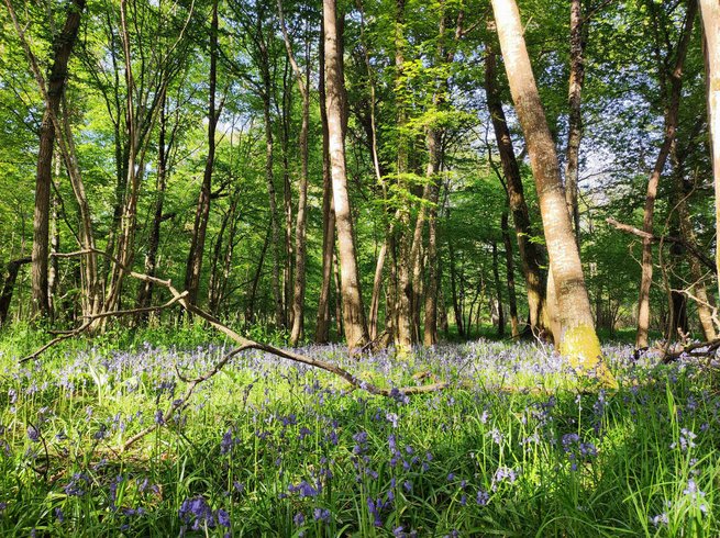 Hébergement AbracadaRoom : La Démaillère, Bain nordique & immersion - Image 14