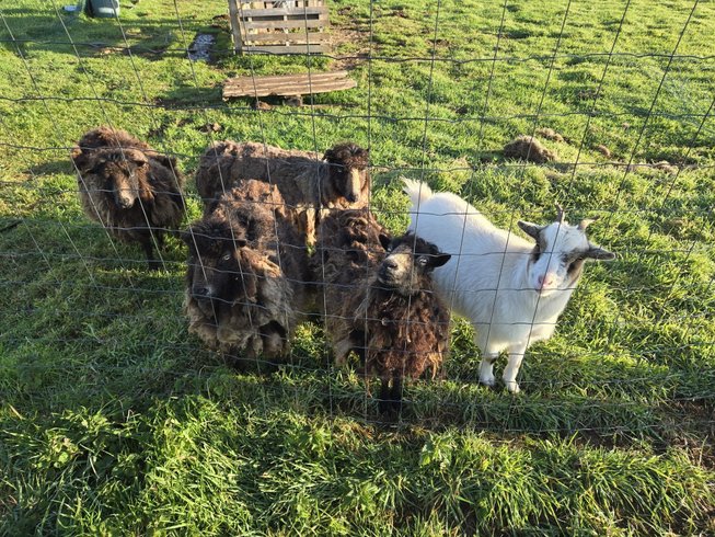 Hébergement AbracadaRoom : Yourte de Tréou & Bain nordique - Image 11