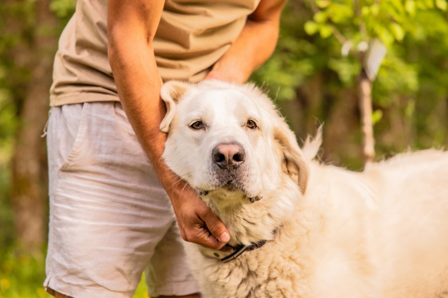 Hébergement AbracadaRoom : Guettée des Alpes - Cité Médiévale, Allos & Verdon - Image 60