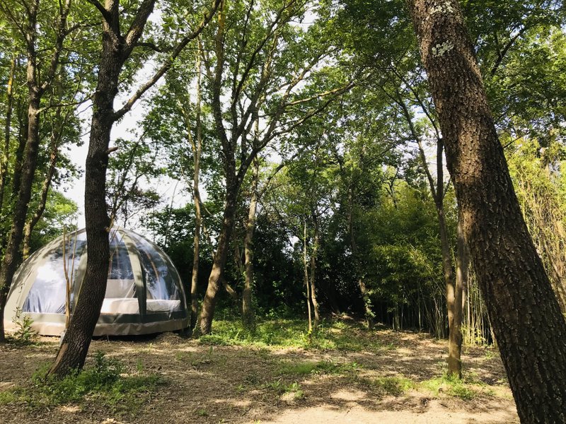 Hébergement AbracadaRoom : Ô cocon du Lauragais - Dôme et Spa - Image 6