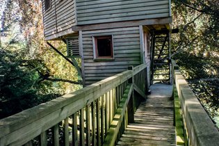 Cabane dans les arbres Marne