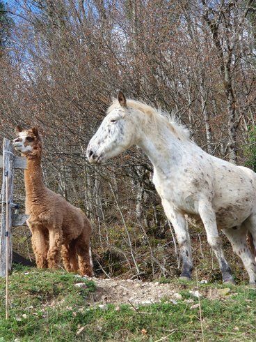 Hébergement AbracadaRoom : Le Dôme des Bauges & sa vue imprenable - Image 30