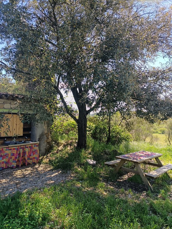 Yourte à la ferme des bréguières à Esparron De Pallieres (4)