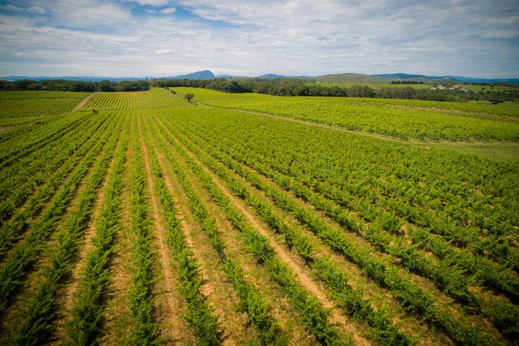 Domaine AbracadaRoom : Domaine St-Jean de l'Arbousier - Image 4