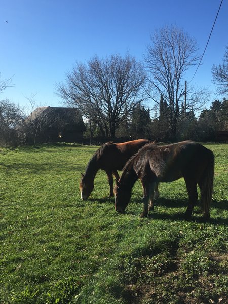 Domaine AbracadaRoom : Le Domaine de Campras - Image 11