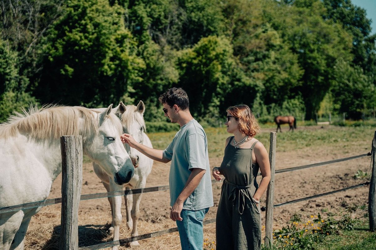 Parcel Tiny House - près des chevaux en Bourgogne à Franxault (5)
