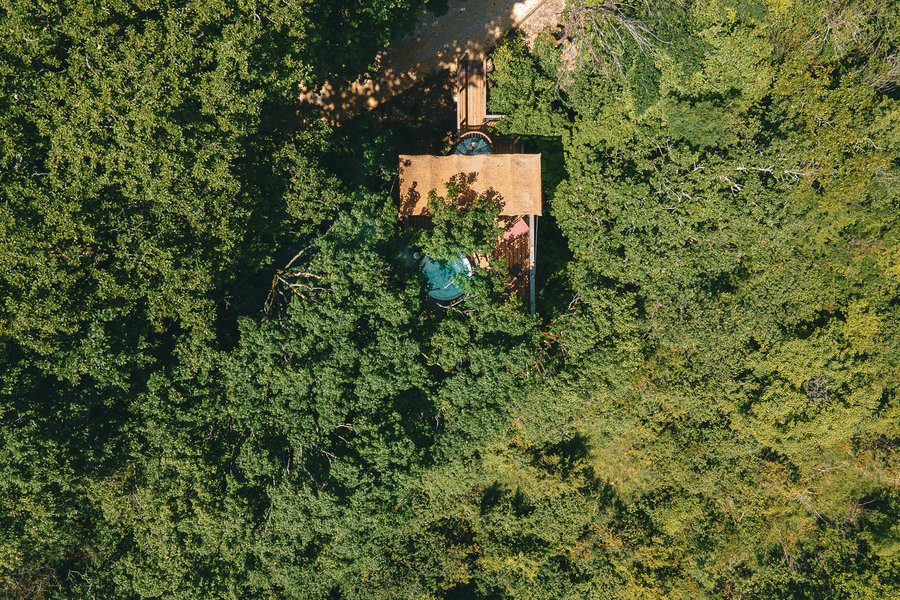 La Palombière 3 (avec Spa) — photo 2