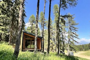 Canopée & Sauna