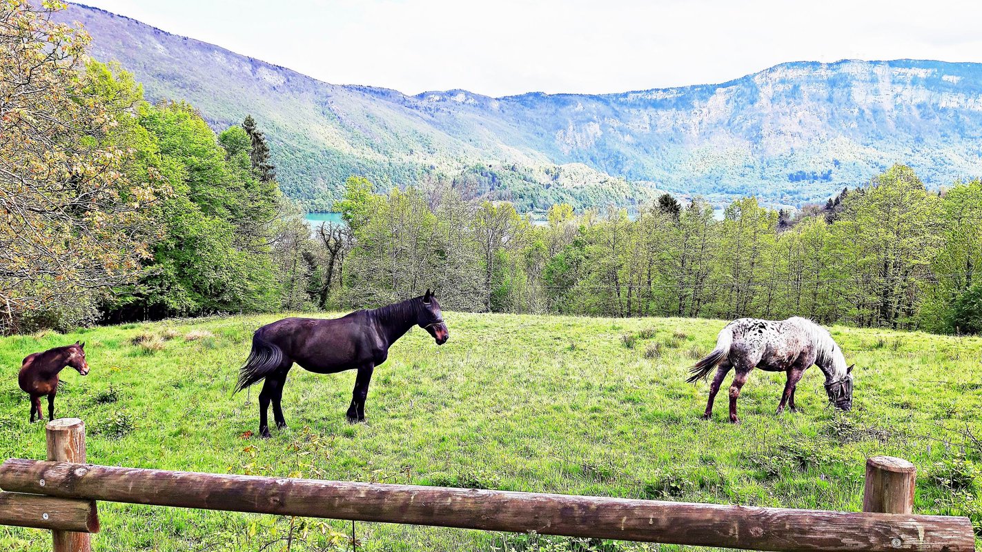 Bulle Texas – Luxe  & SPA – Vue Lac Aiguebelette à Novalaise (56)