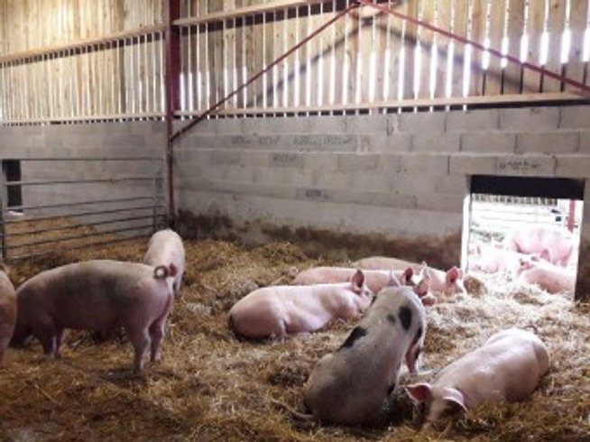 Domaine AbracadaRoom : Ferme des Coutures - Image 7