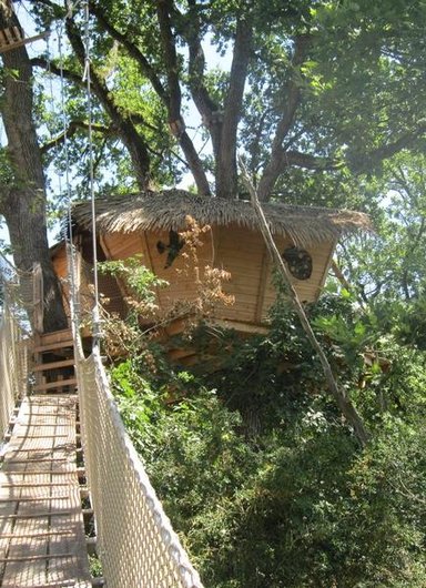 pont-singe-buis-cabane-belle